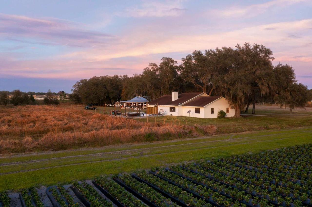 Plant City Home With Outdoor Pool! Extérieur photo